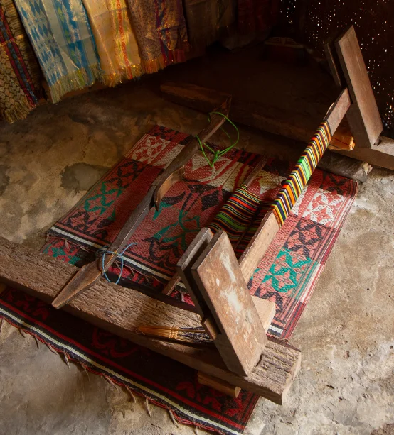 Area Rug Restoration