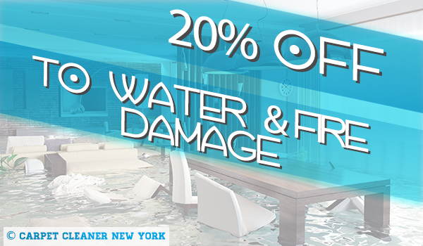 Water and Fire Damage Restoration